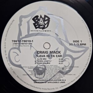 Flava in Ya Ear 12"