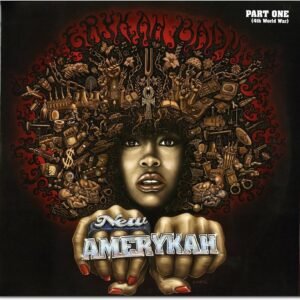 erykah badu amerykah vinil